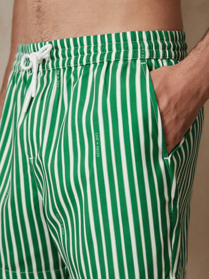 | Ché Stripe Swim Shorts Green/White | Men