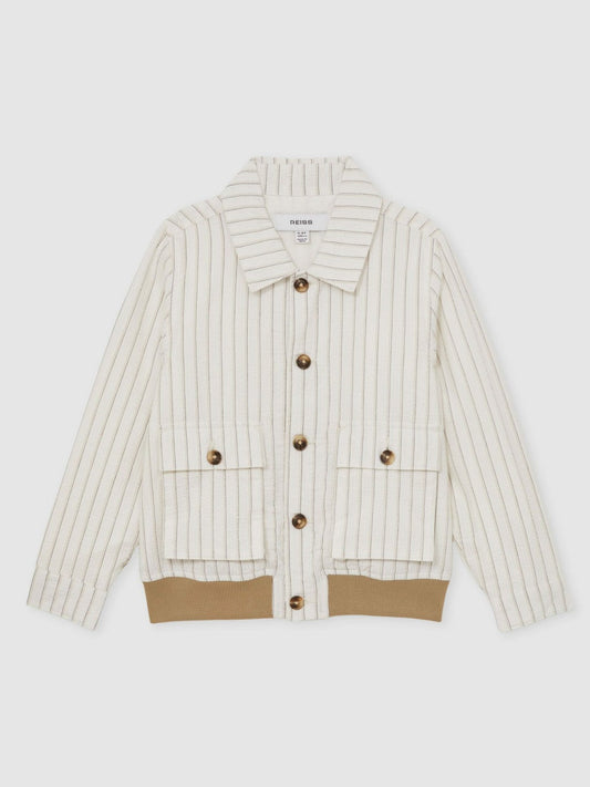 3-9 yrs Cotton Pinstripe Harrington Jacket Off White/Taupe Brown | Children & Baby
